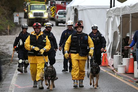 More cadaver dogs arrive to assist in search for bodies after wildfires kill at least 106 on Maui